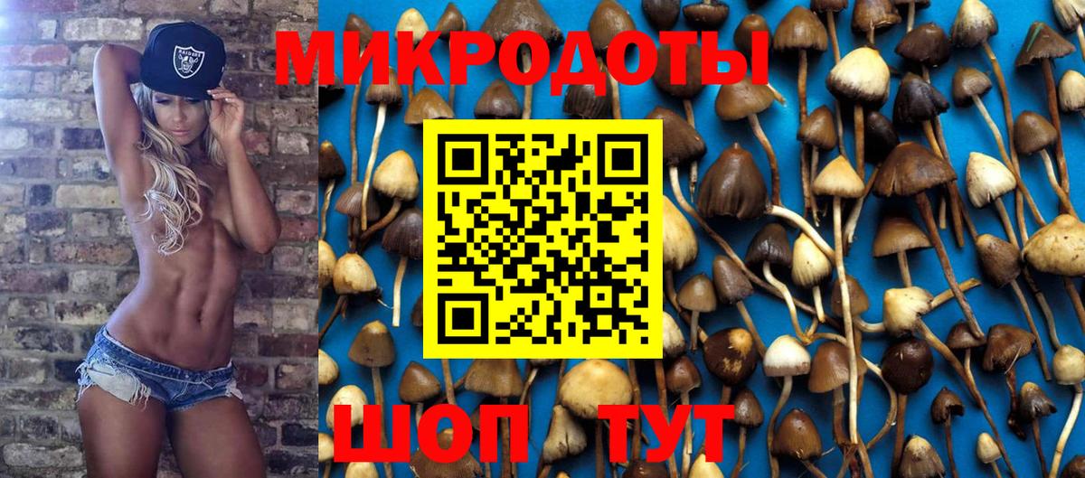 Каменка  Псилоцибиновые грибы GOLDEN TEACHER  Вход с VPN 